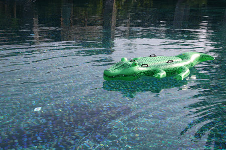 Float in shape of crocodile in swimming pool outdoors