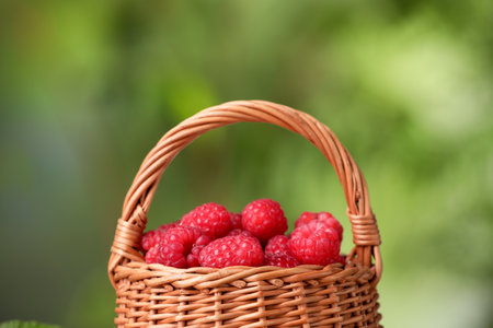 Tasty ripe raspberries in wicker basket on blurred green background, closeupの写真素材
