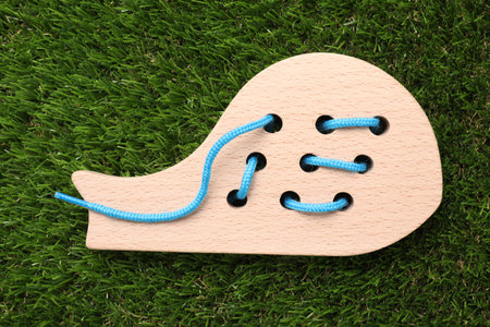 Wooden whale figure with holes and lace on artificial grass, top view. Educational toy for motor skills developmentの写真素材