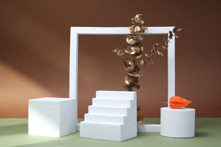 Autumn presentation for product. Geometric figures, golden branch with leaves and physalis on color...