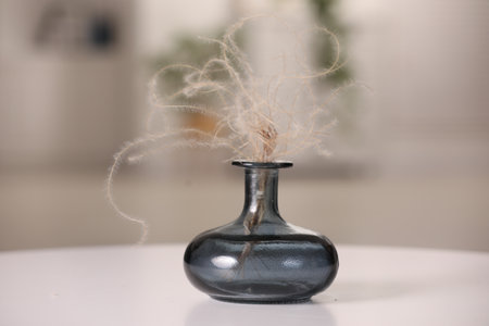 Vase with dried plant on white table in roomの写真素材