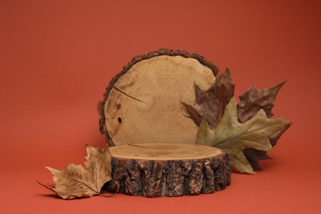 Autumn presentation for product. Wooden stumps and dry leaves on terracotta backgroundの写真素材