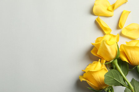 Beautiful yellow roses on light gray background, flat lay. Space for textの写真素材