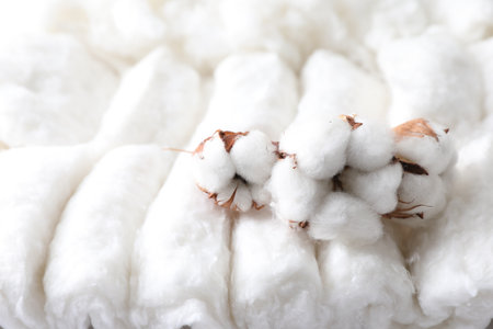 Soft flowers on clean cotton, closeup. Space for textの写真素材
