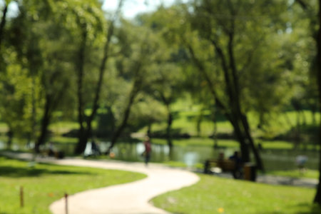 Blurred view of quiet park with green trees and pond on sunny dayの写真素材