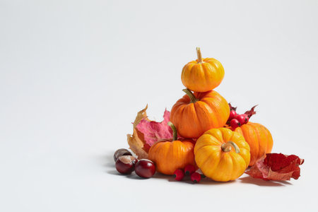 Happy Thanksgiving day. Beautiful composition with pumpkins on white background, space for textの写真素材