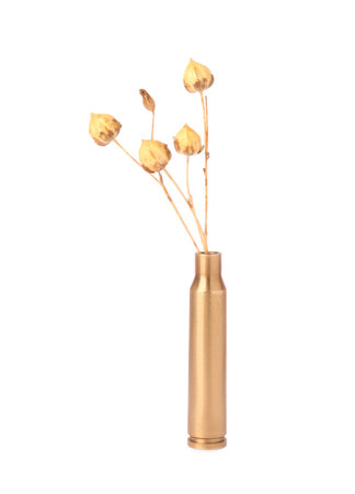 Beautiful dry plant in bullet case isolated on whiteの写真素材