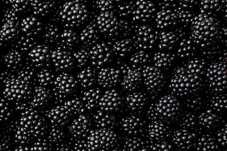 Many tasty ripe blackberries as background, closeupの写真素材