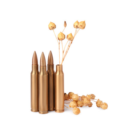Bullets and cartridge case with beautiful dry plant isolated on whiteの写真素材