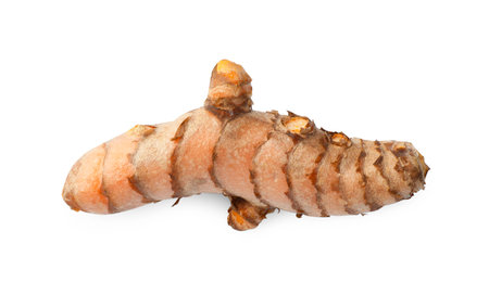One fresh turmeric root isolated on white, top viewの写真素材