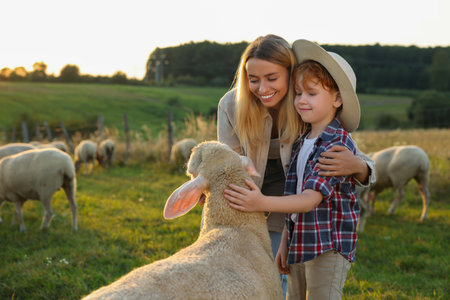 Mother and son stroking sheep on pasture. Farm animalsの写真素材