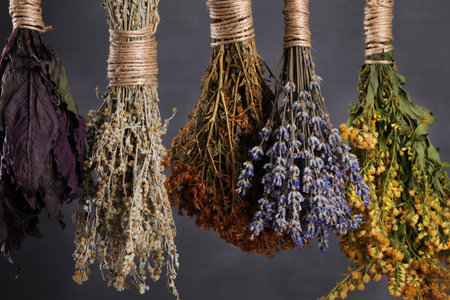 Many different herbs and flowers hanging on gray background, closeupの写真素材