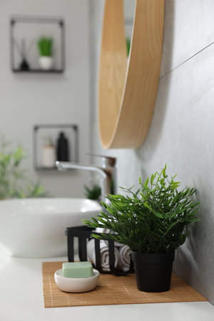 Potted artificial plant, rolled towels and soap near sink on bathroom vanityの写真素材