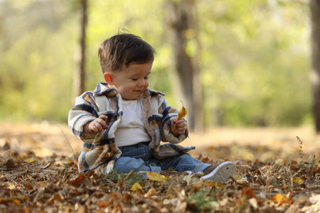 Cute little child on ground with dry leaves in autumn park, space for text