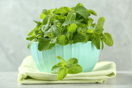 Bowl with fresh green mint leaves on gray table