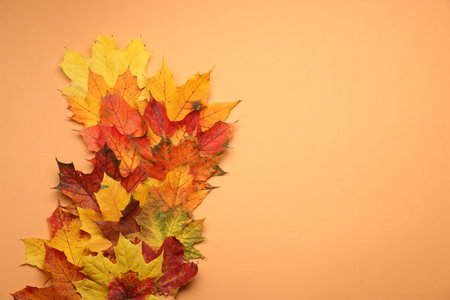 Autumn season. Colorful maple leaves on pale orange background, top view with space for text