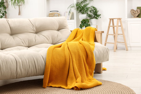 Comfortable sofa with orange blanket in living roomの写真素材