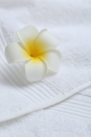 Plumeria flower on white terry towel, closeupの写真素材