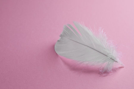 Fluffy white feather on pink background. Space for text