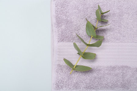 Violet terry towel and eucalyptus branch on light gray background, top view. Space for textの写真素材