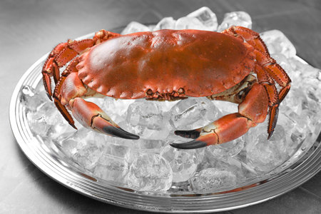 Delicious boiled crab with ice cubes on gray table, closeupの写真素材