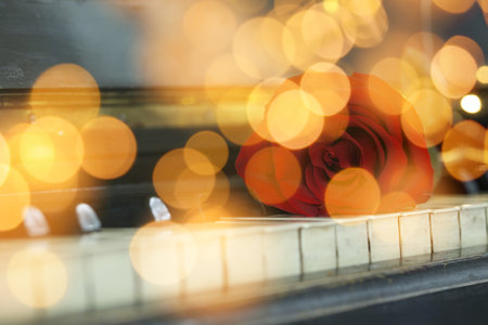 Christmas and New Year music. Piano with rose, bokeh effectの写真素材