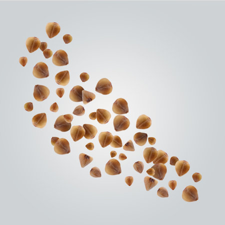 Buckwheat flying on gray background. Grains in the airの写真素材