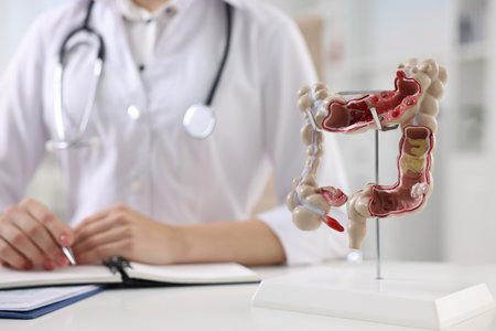 Gastroenterologist working at table in clinic, focus on anatomical model of large intestineの写真素材