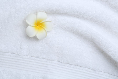 Plumeria flower on white terry towel, top view. Space for textの写真素材