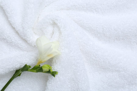 Freesia flower on white terry towel, top viewの写真素材