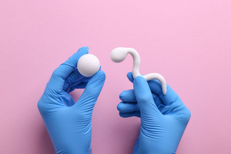 Reproductive medicine. Fertility specialist in gloves holding figures of sperm and egg cells on pink...