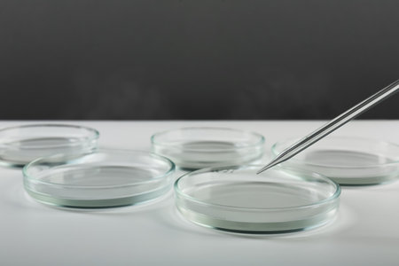 Pipette over petri dish on light table against gray backgroundの写真素材