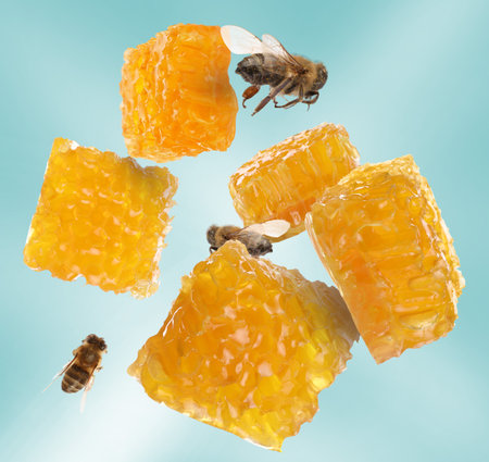 Pieces of honeycomb in air and bees flying on light blue background