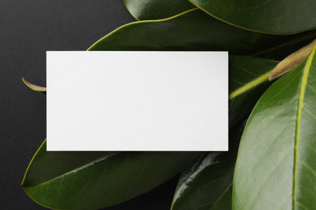 Blank business card and magnolia branch on black background, top view. Mockup for designの写真素材