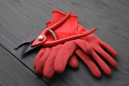 Pair of red gardening gloves and secateurs on gray wooden table, closeup