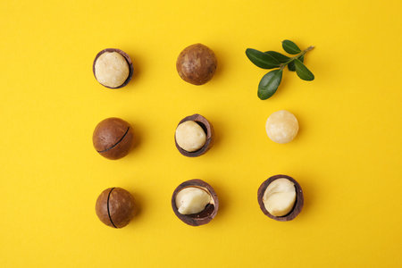 Tasty Macadamia nuts and green twig on yellow background, flat layの写真素材