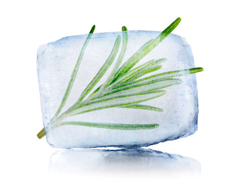 Frozen food. Raw rosemary in ice cube isolated on whiteの写真素材