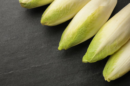 Fresh raw Belgian endives (chicory) on black table, top view. Space for textの写真素材
