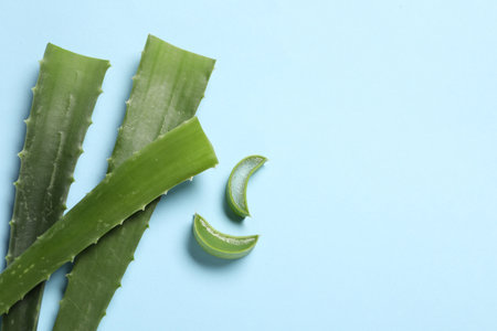 Cut aloe vera leaves on light blue background, flat lay. Space for textの写真素材