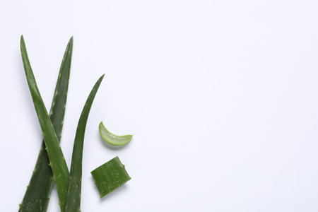 Cut aloe vera leaves on white background, flat lay. Space for textの写真素材