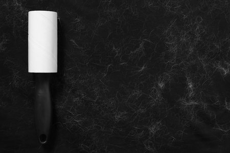 Lint roller and pet hair on black fabric, top view. Space for textの写真素材