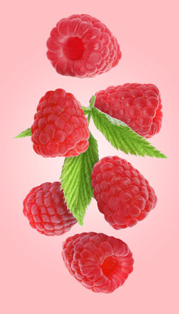 Fresh ripe raspberries and green leaves falling on pink background
