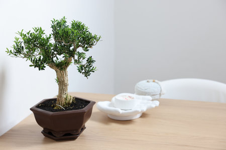 Beautiful bonsai tree in pot and decor elements on wooden table indoors, space for textの写真素材