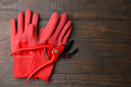 Pair of red gardening gloves and secateurs on wooden table, top view. Space for textの写真素材