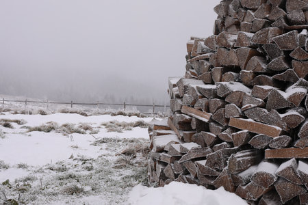Pile of firewood covered with snow and hoarfrost on winter dayの写真素材