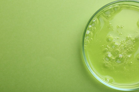 Petri dish with liquid sample on green background, top view. Space for textの写真素材