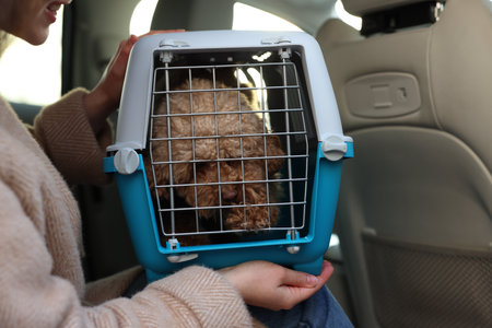 Woman with pet carrier traveling with dog her by car, closeup