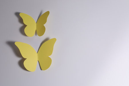 Yellow paper butterflies on light background, top view. Space for textの写真素材