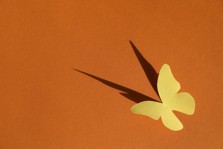 Yellow paper butterfly on orange background, top view. Space for textの写真素材