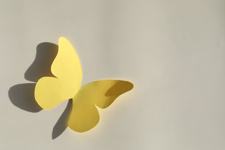 Yellow paper butterfly on light gray background, top view. Space for textの写真素材